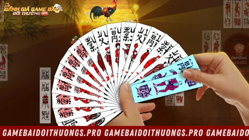 Giới thiệu tổng quan