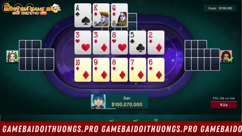 Giới thiệu tổng quan