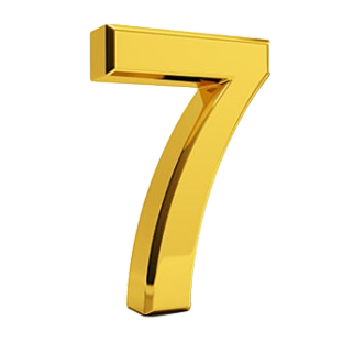 top 7