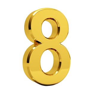 top 8