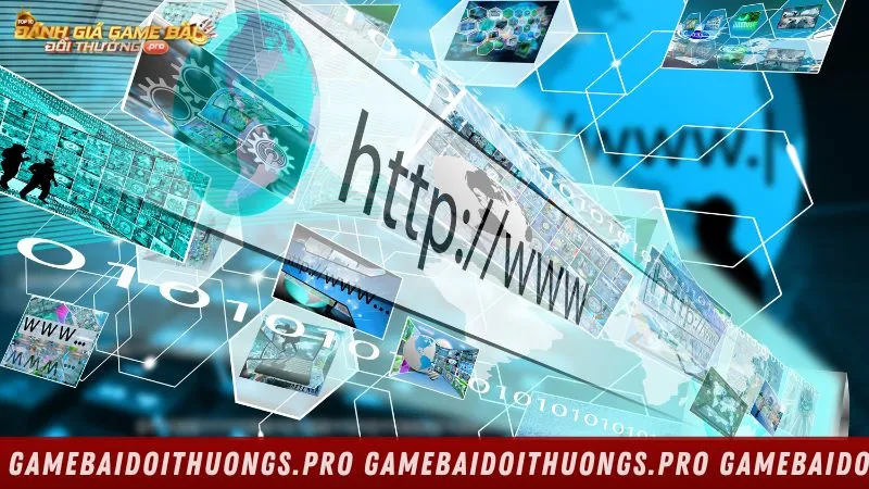 Thông tin nào được thu thập?