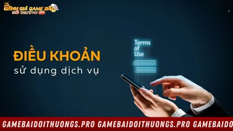 Tổng quan về điều khoản sử dụng tại gamebaidoithuongs.pro